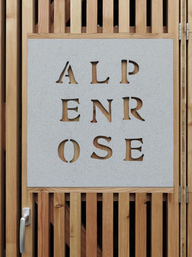 Alpenrose Boutique Chalet Gretl Ramsau am Dachstein Zewnętrze zdjęcie