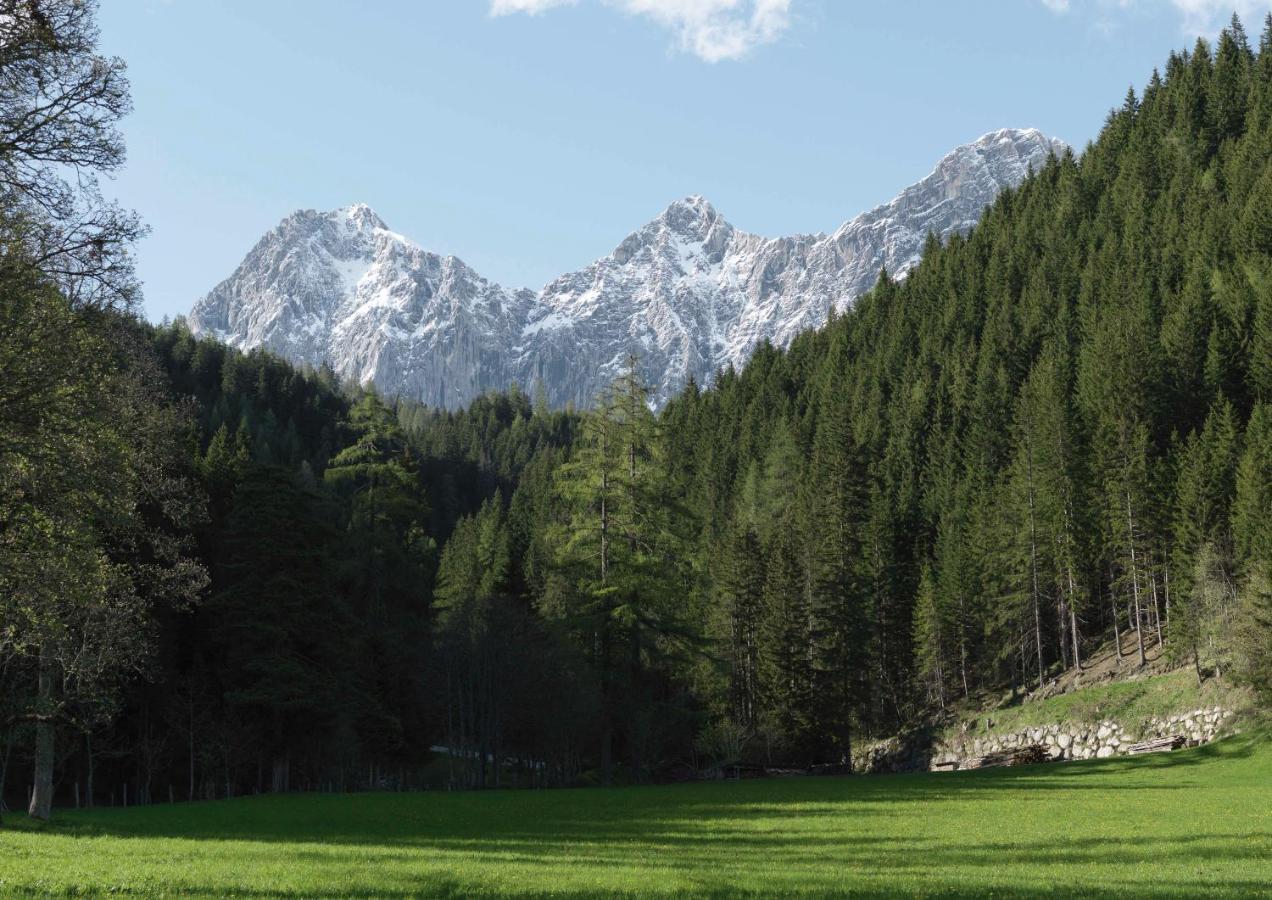 Alpenrose Boutique Chalet Gretl Ramsau am Dachstein Zewnętrze zdjęcie