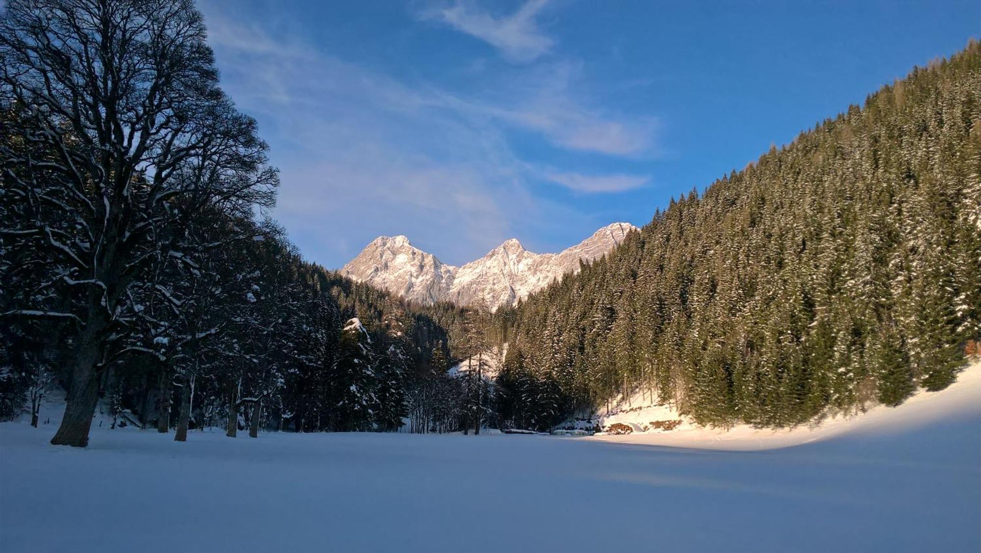 Alpenrose Boutique Chalet Gretl Ramsau am Dachstein Zewnętrze zdjęcie