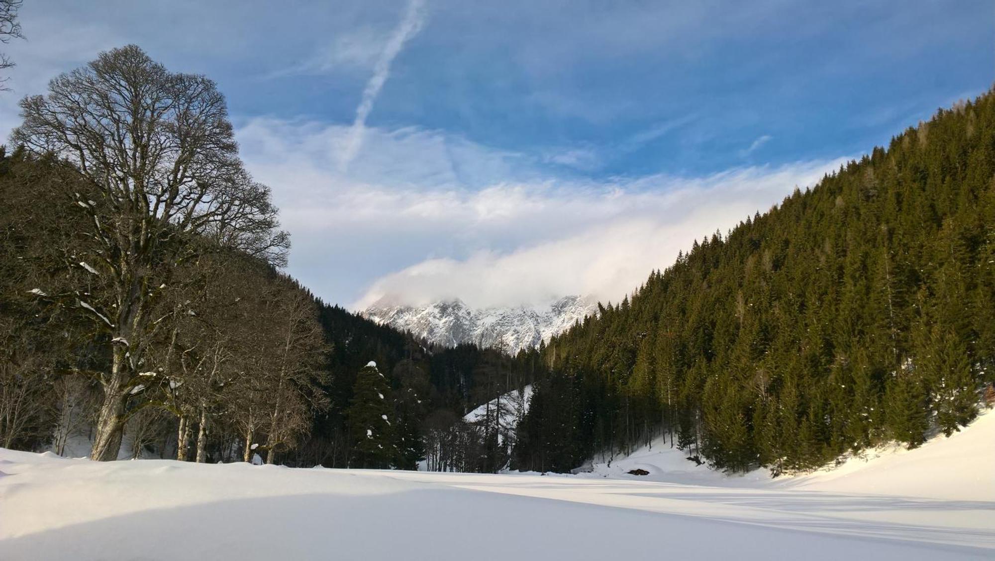 Alpenrose Boutique Chalet Gretl Ramsau am Dachstein Zewnętrze zdjęcie