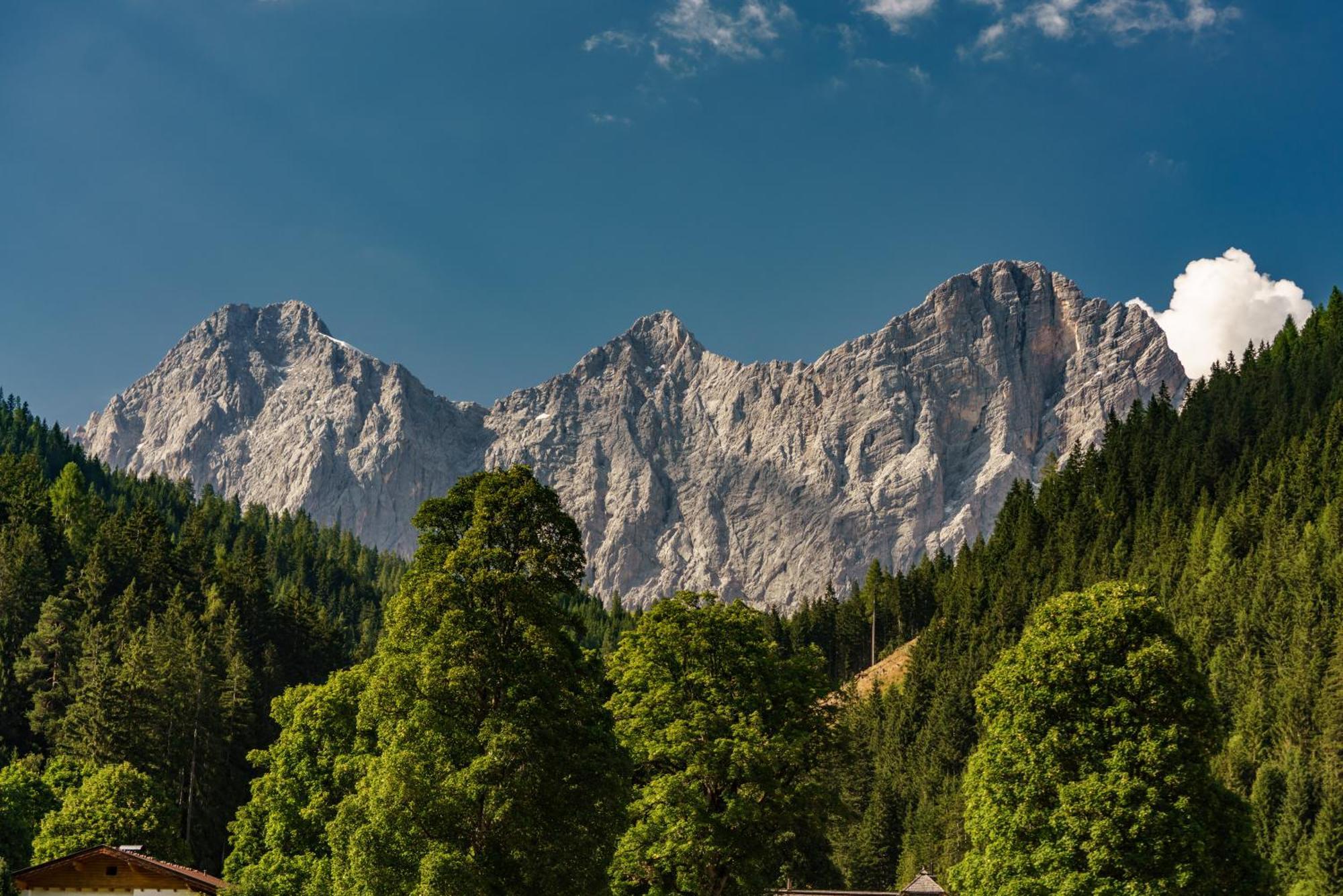 Alpenrose Boutique Chalet Gretl Ramsau am Dachstein Zewnętrze zdjęcie