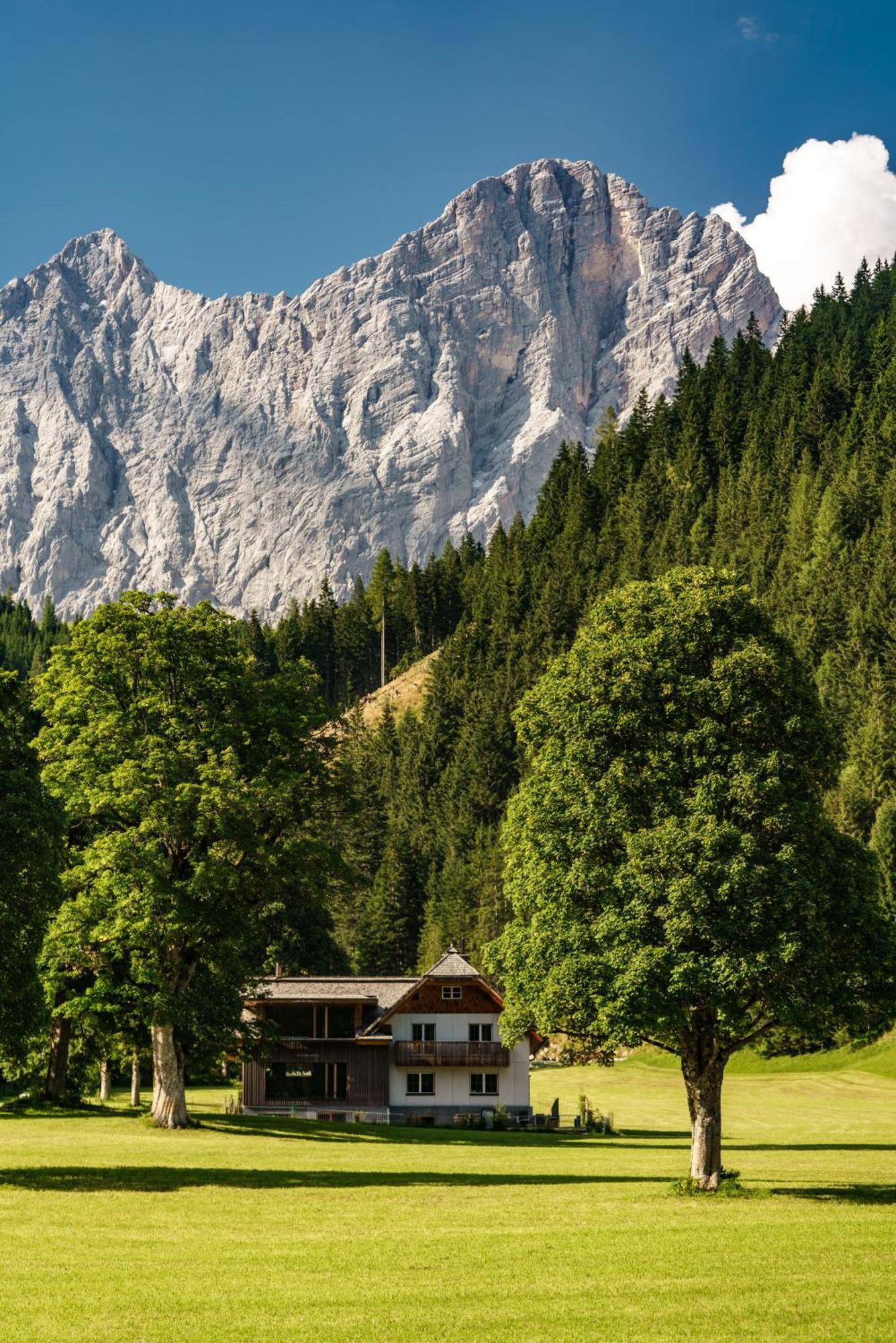 Alpenrose Boutique Chalet Gretl Ramsau am Dachstein Zewnętrze zdjęcie